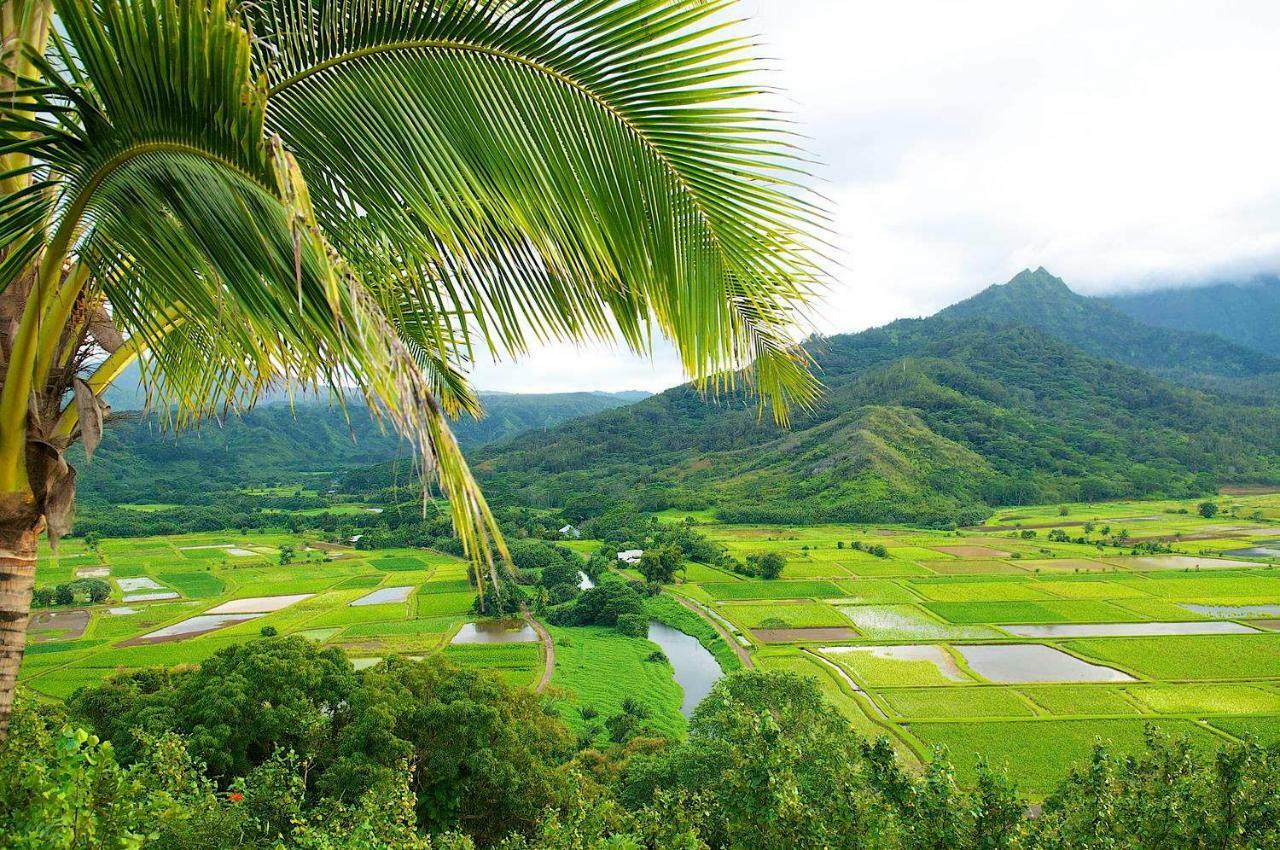 Waipouli Beach Resort Beautiful Luxury Ground Level Garden View Ac Pool! Kapa'a Exteriör bild