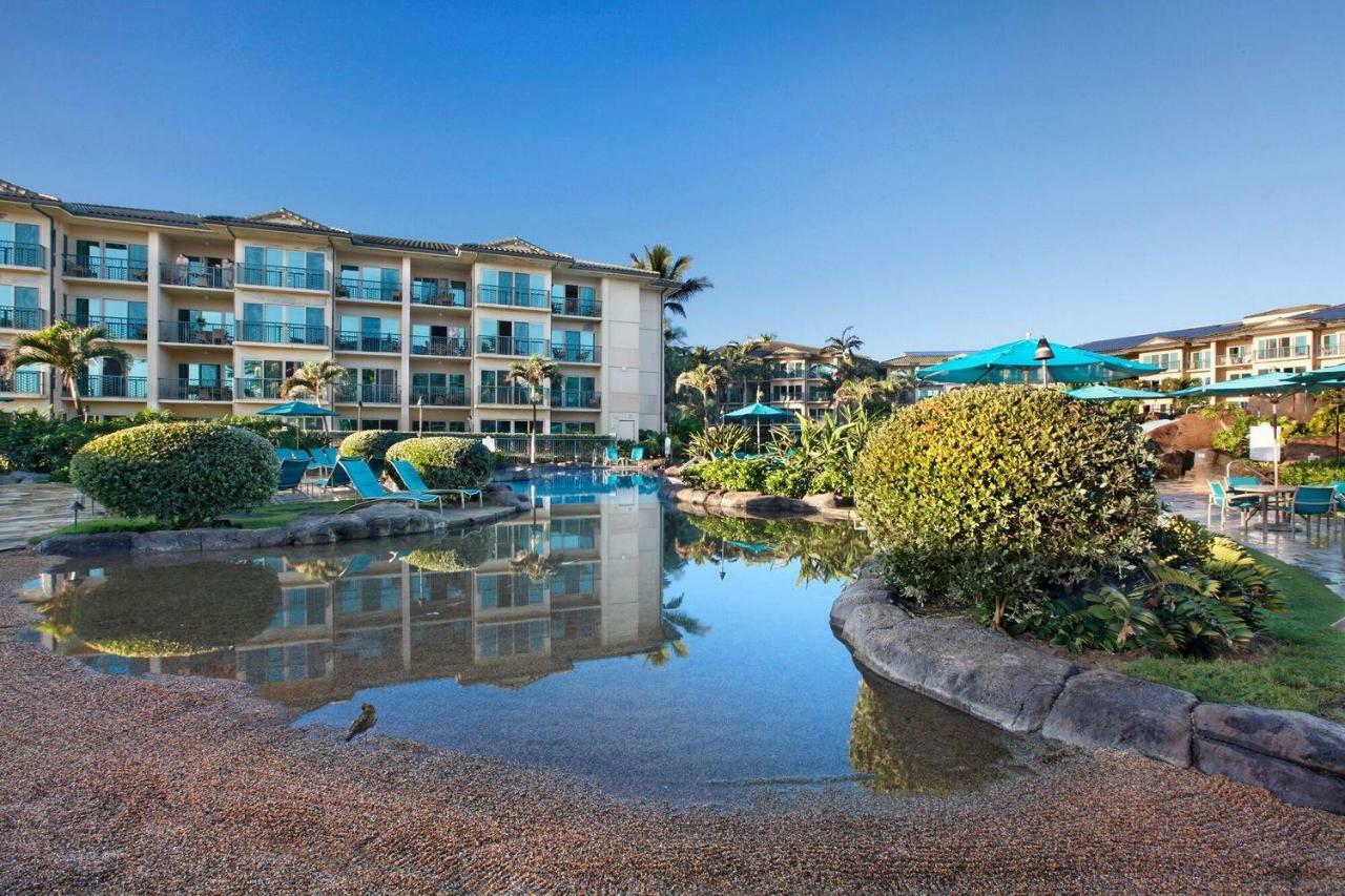 Waipouli Beach Resort Beautiful Luxury Ground Level Garden View Ac Pool! Kapa'a Exteriör bild